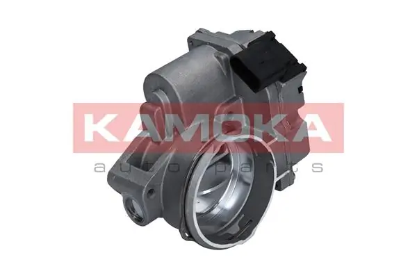 Throttle Body 112010