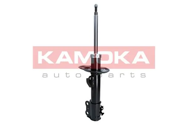 Shock Absorber 2000255