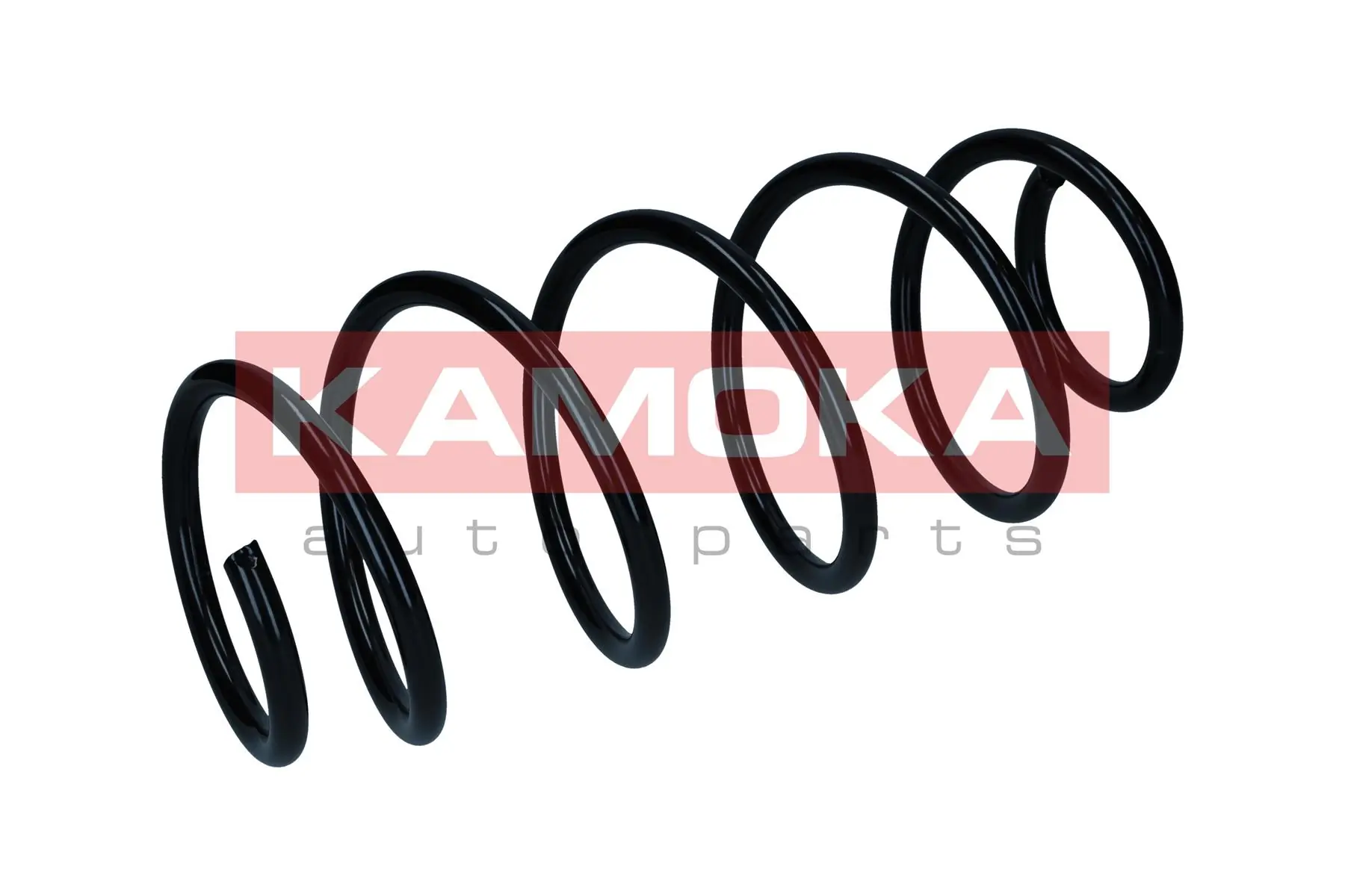 Suspension Spring 2110707