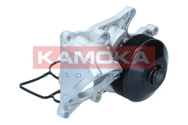 Water Pump, engine cooling T0301