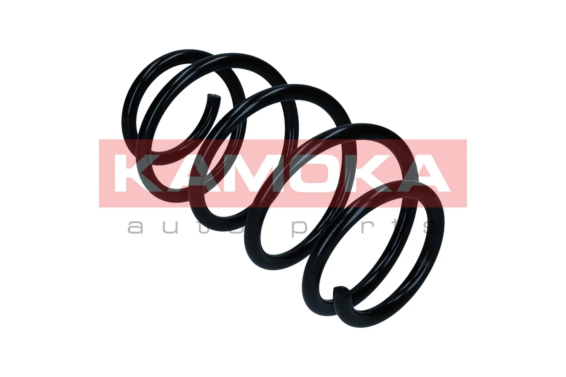 Suspension Spring 2110671