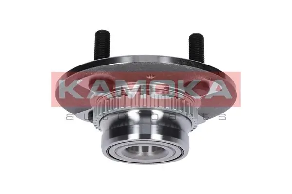 Wheel Bearing Kit 5500021