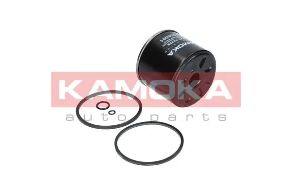 Fuel Filter F302001