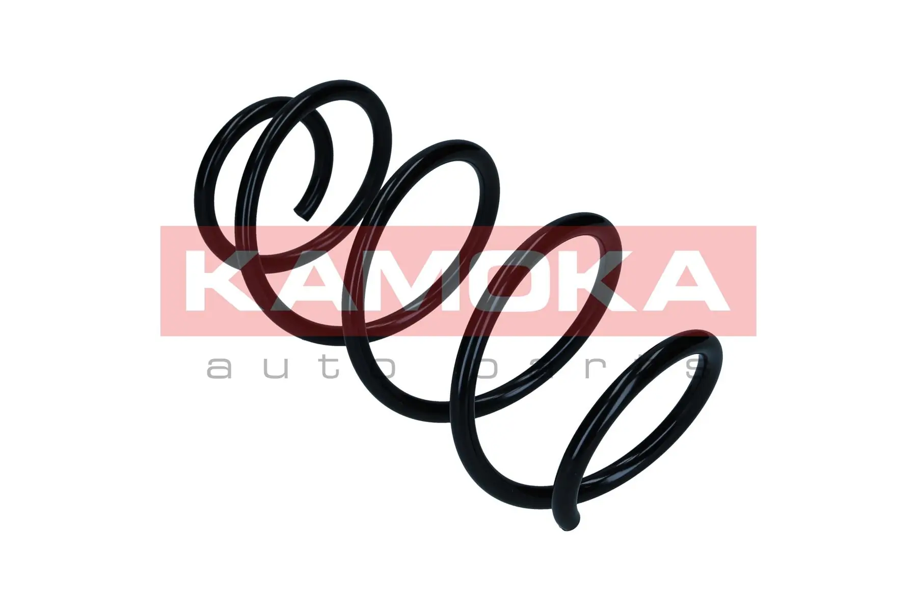 Suspension Spring 2110862