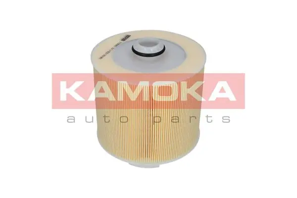 Air Filter F236801