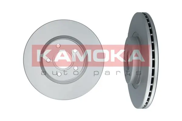 Brake Disc 1031016