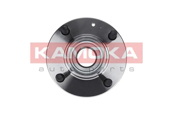 Wheel Bearing Kit 5500003