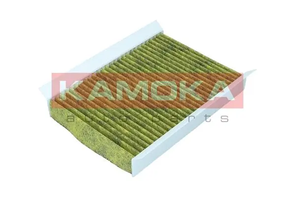 Filter, cabin air 6080100