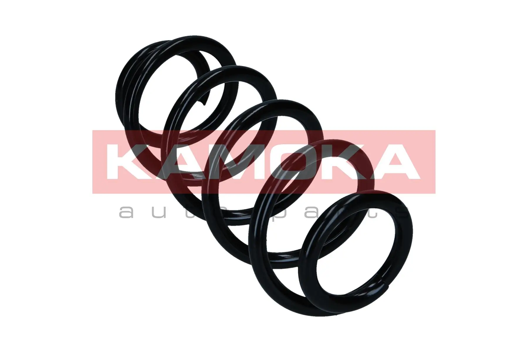 Suspension Spring 2120630