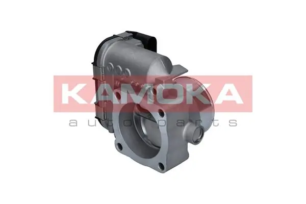 Throttle Body 112009