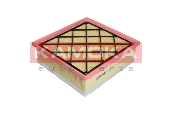 Air Filter F222201