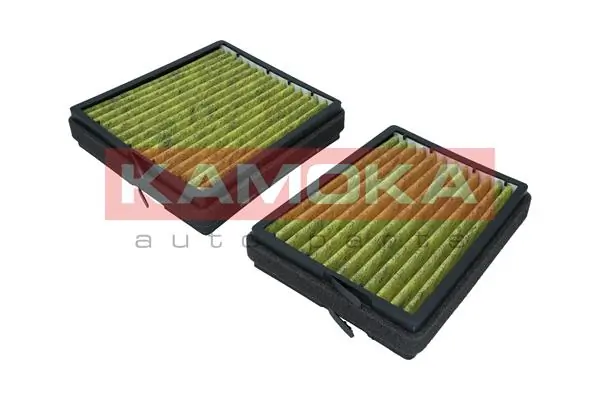 Filter, cabin air 6080046