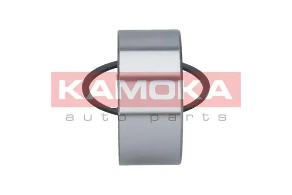 Wheel Bearing Kit 5600082