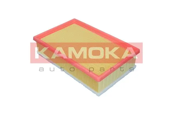 Air Filter F255401