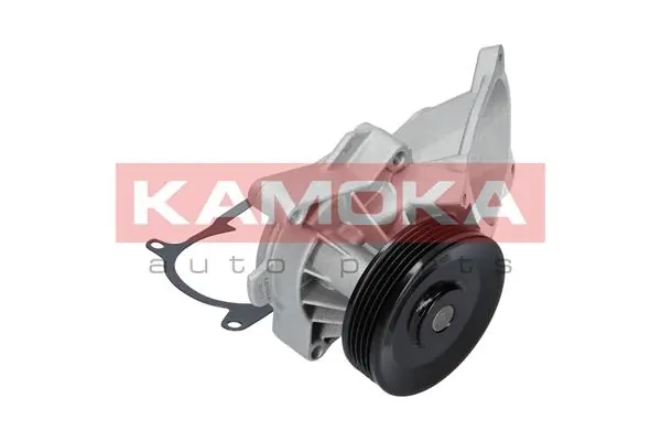 Water Pump, engine cooling T0173