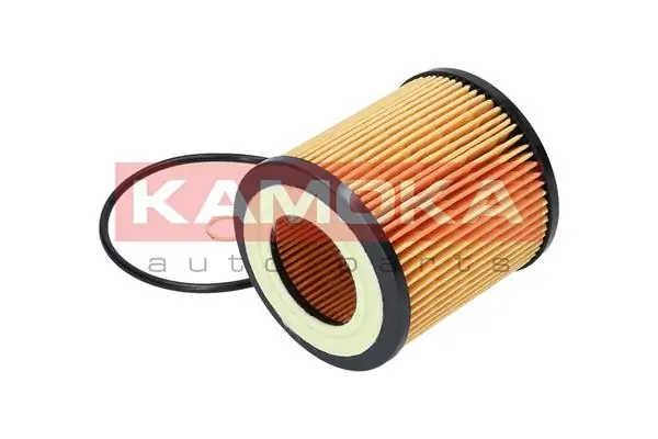 Oil Filter F100601