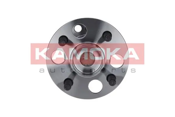 Wheel Bearing Kit 5500089