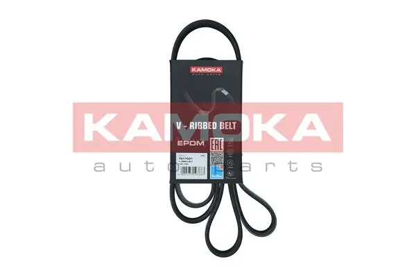 V-Ribbed Belt 7017031