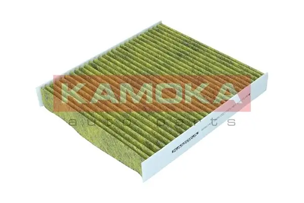 Filter, cabin air 6080143