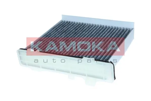 Filter, cabin air F526501