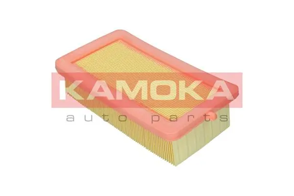 Air Filter F249201