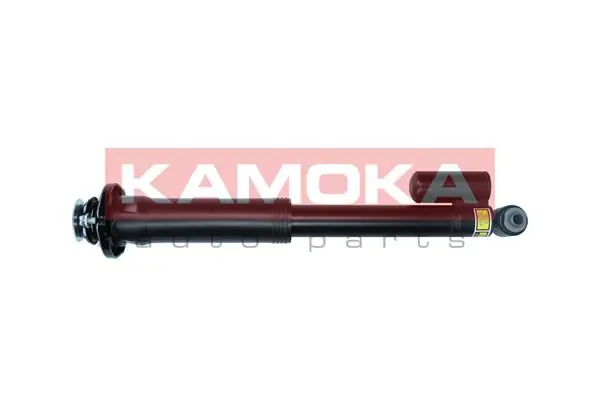 Air Suspension Strut 2070022