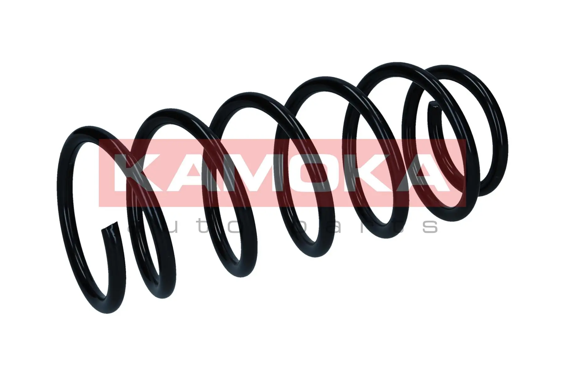 Suspension Spring 2120580