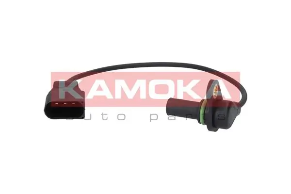 RPM Sensor, automatic transmission 110002