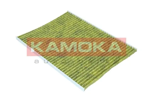 Filter, cabin air 6080168