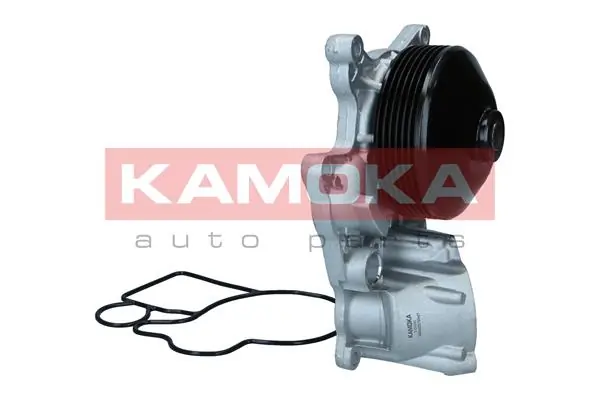 Water Pump, engine cooling T0300