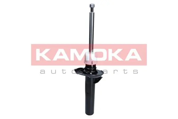 Shock Absorber 2000484