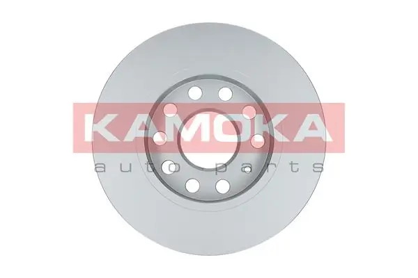 Brake Disc 1032552