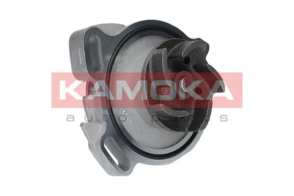 Water Pump, engine cooling T0275
