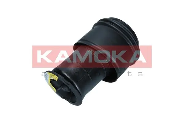 Air Spring, suspension 2079024