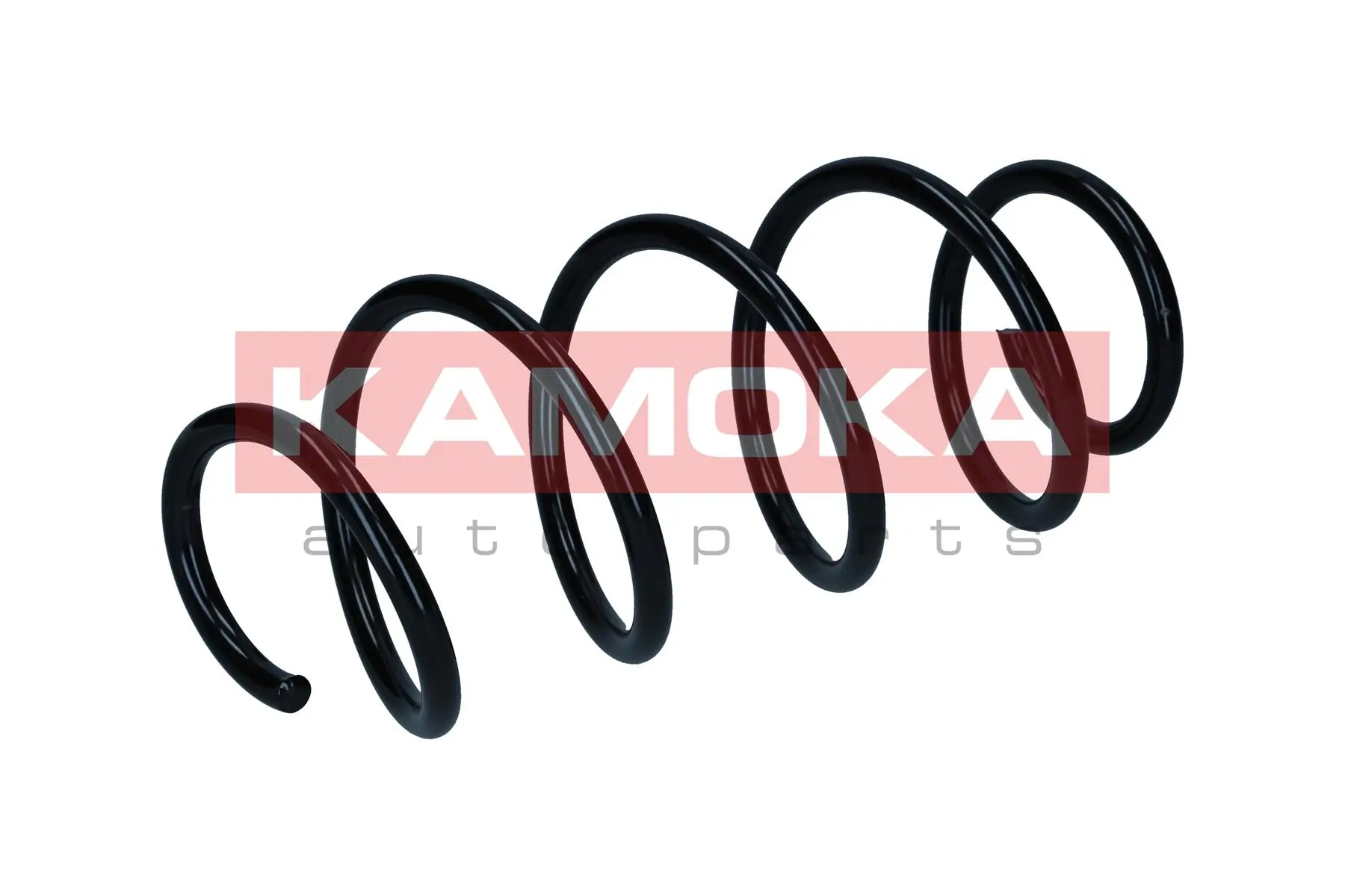 Suspension Spring 2110818