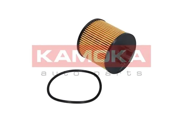 Oil Filter F109801