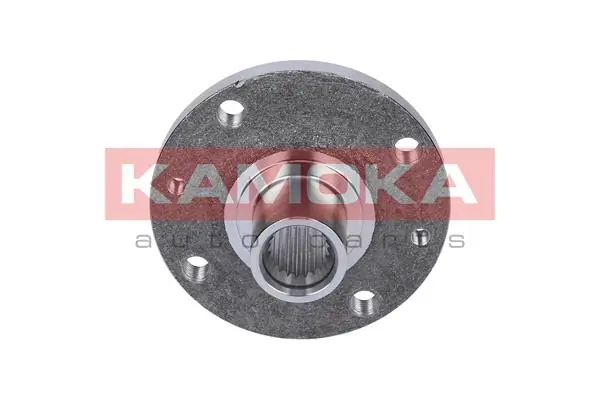 Wheel Hub 5500102