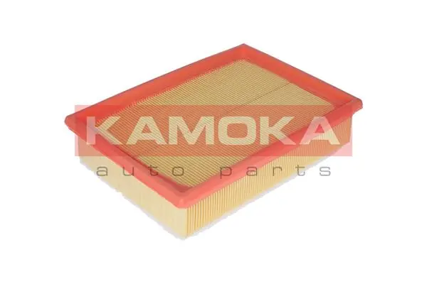 Air Filter F218501