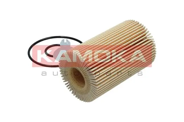 Oil Filter F116901