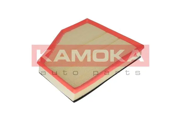 Air Filter F219601