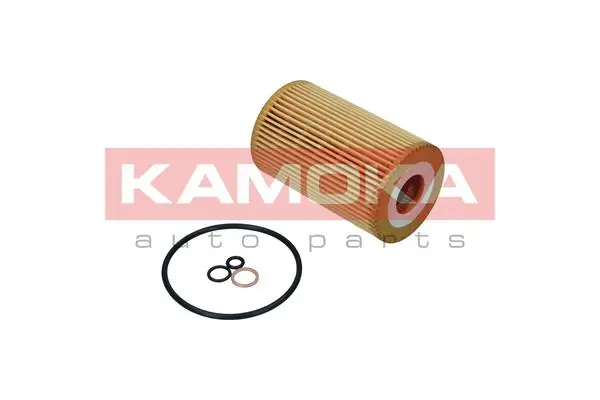 Oil Filter F123701