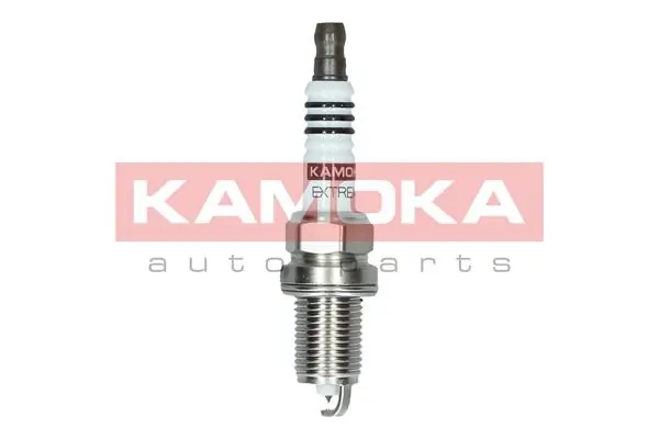 Spark Plug 7100054