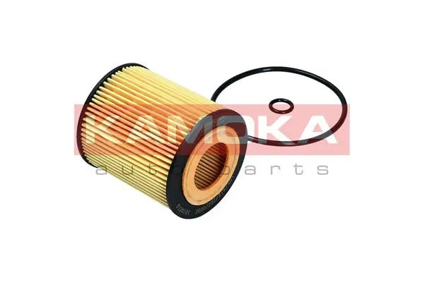 Oil Filter F120101