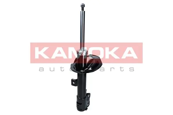 Shock Absorber 2000533