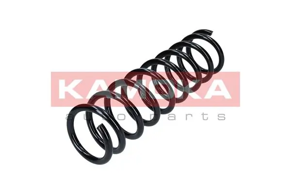 Suspension Spring 2120120