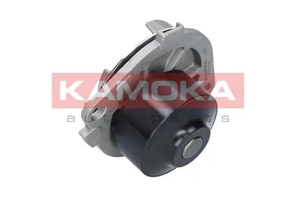 Water Pump, engine cooling T0113