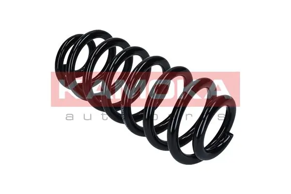 Suspension Spring 2120272