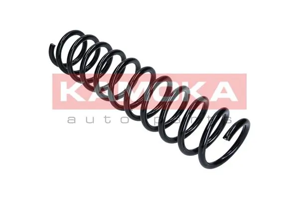 Suspension Spring 2120238