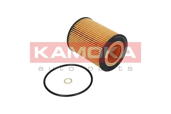 Oil Filter F107201