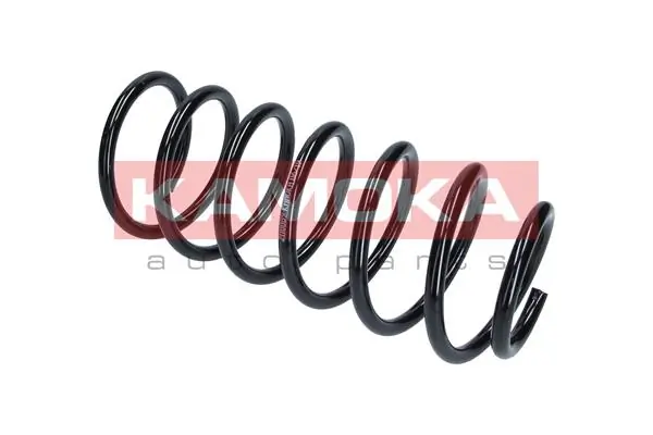 Suspension Spring 2110089